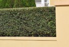 Aratula QLDhard-landscaping-surfaces-8.jpg; ?>