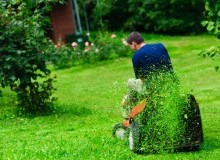 Kwikfynd Lawn Mowing
aratulaqld