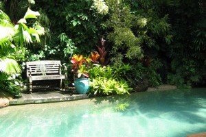 Landscaping Swimming Pool Landscaping
